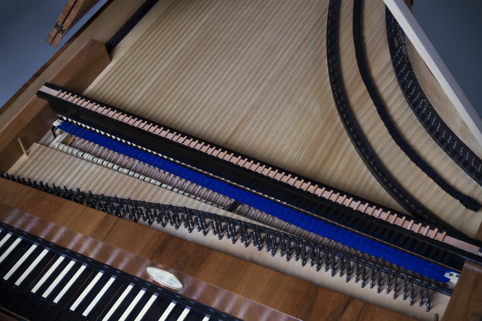 Walter 1795 n°1 — vue d'ensemble